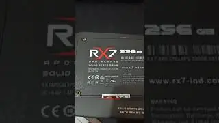 Review SSD Murah 256GB RX7