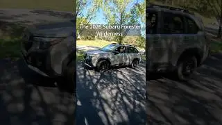 Subaru Forester Wilderness 2026 года