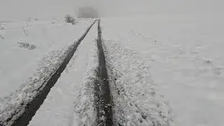 Гусь подранок 14.01.2026