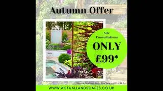 Autumn Offer!