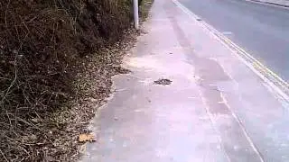 VID-20110123-00002