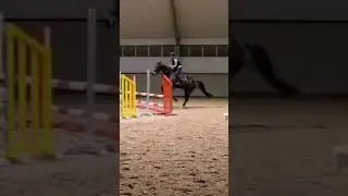 My Notre Dame🥰 #fypage #viral #fypシ゚viral #fypシ #equestrian