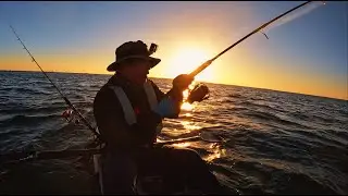 This Place never failed to SURPRISE me! Cockburn sound Spanish Mackerel Hunt!