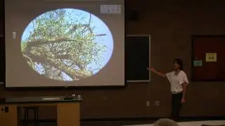 Mistletoe: Our Favorite Parasite - Dr. Kristi Duran - December 5, 2012
