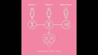 Same sex mothers through IVF