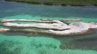 Conch Island World