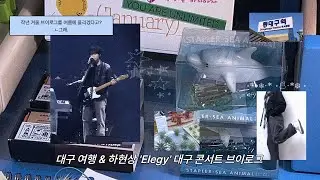 작년 겨울 브이로그를 여름에 올린다고? 그래. | 대구 여행 & 2024 하현상 Elegy 대구 콘서트