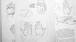 Practicing Drawing Hands Using the Loomis Method - Live