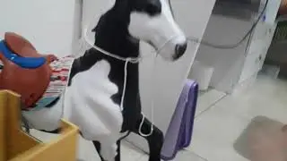 Meus cavalos de brinquedo