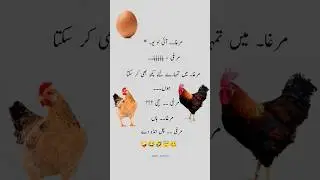 Urdu Quotes||#funny#unfrezzmyaccount#memes#jokesmemes#shorts#urdunovels#comedy#trending