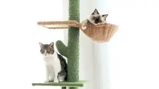 Cat Tree 5-Tier Floor to Ceiling Cat Tower Cactus Tall Climbing Tree with