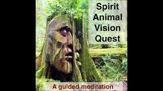 Animal Totem Spirit Animal Vision Quest: Guided Meditation ~ SoulFelt ~ Michelle Skaletski-Boyd