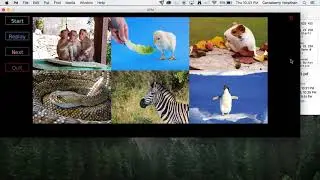 Animal Sound Guessing Game DEMO PureData