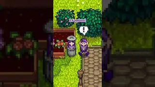 Trash in Stardew Valley is Actually Useful Now?! #stardew