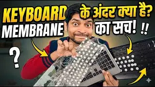 5 Shocking Secrets of Portronics Wireless Keyboards Nobody Tells You