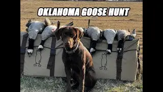 Goose Hunting In Oklahoma | Catch and Cook
