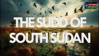 Why is the SUDD Important?
