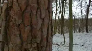 Promno- jezioro Drążynek- Promno 11