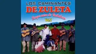 Prometi Quererte Mucho