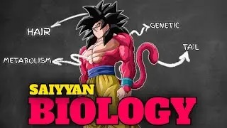 Saiyyan Biology Explained | Why Saiyans Are So Powerful in Dragon Ball