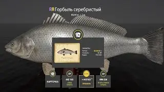 📢СТРИМ РР4🔥ЗАМУРРРЧАТЕЛЬНОЕ УТРО НА ЗАМУРРРЧАТЕЛЬНОМ МОРЕ🔥РУССКАЯ РЫБАЛКА 4