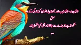 💫 &ldquo;بے عزتی کا جواب عزت سے دو 💔&rdquo;(Beizzati ka jawab izzat se do)