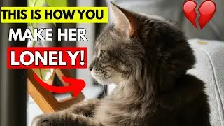 Is Your Cat Lonely? 6 Mistakes You Might Be Making Without Knowing