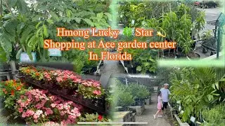 Shopping at Ace garden center in Florida . 8-1-25