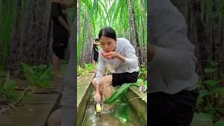 Chinese sugarcane 🤔