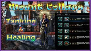 Лучшие ошейники для ездовых животных для танков и целителей &mdash; Мод 19 Neverwinter
