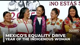 Mexico marks 2025 as Year of the Indigenous Woman amid equality drive