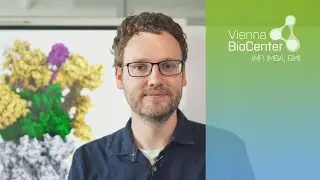 David Haselbach | Scientist Snapshot | IMP, Vienna BioCenter