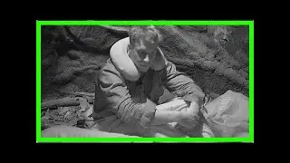 Dschungelcamp: David Friedrich packt über Jessica Paszka aus