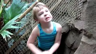 Center Parcs Heijderbos jungle dome 2014