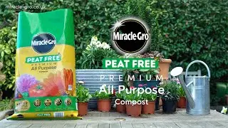 Miracle-Gro&reg; Peat Free All-Purpose Compost | 3-Month Feed & Superior Water Retention
