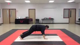 Kenpo Karate Workout: Grounded