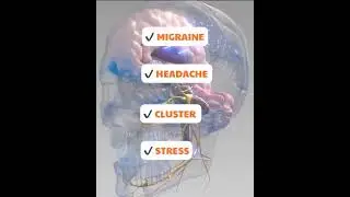 MIGRAINE AND HEADACHE RELIEF CAP