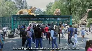 D&iacute;a de Los Amantes de Los Zool&oacute;gicos