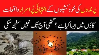 Mystery Behind The Birds Suicide Death In Jatinga Village in Assam India