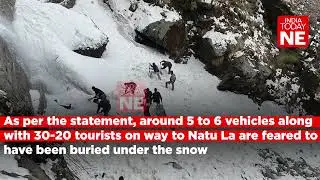 Avalanche in Sikkim: Search and rescue operations underway, 7 killed