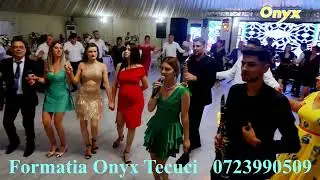 Formatia LEONARD TRANDAFIR(Onyx) nunta 2023 la Panciu, hora, calca-si nana iar pe bec