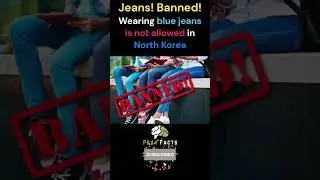 🚫👖🇰🇵 Denim Deterrence: Dress Codes in North Korea 🚫👖🇰🇵 #amazing #facts #viral #trending #shorts