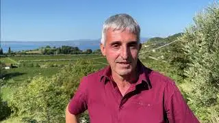 BARDOLINO - Der Wein
