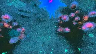 Euclidean - Geometric Horror Trailer #1