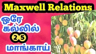 Maxwell Relations|Full explanation|Shortcut tricks to write Maxwell equations|Polytechnic|AllWin