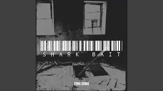 Shark Bait