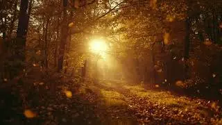 Falling Leaves [Autumn Pop]