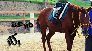 مزرعة ركاز _ رحلة مركز الوقار لضيافة الأطفال