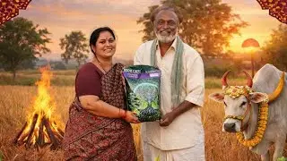 Boom Crest | Brand Advertisement | Rohith Raj | Manager &bull; Writing &bull; Co-director 