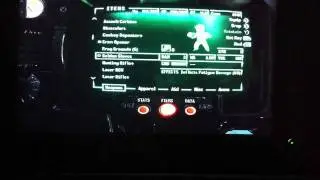 Fallout new Vegas- Special Weapons- Laser RCW
